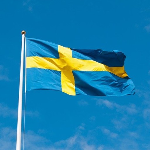 Svenska nationaldagen