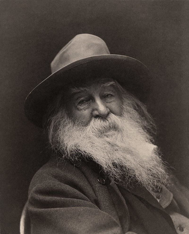 Walter ”Walt” Whitman 200 år, kanske hade han trivts som skribent på SenirPorten.se?
